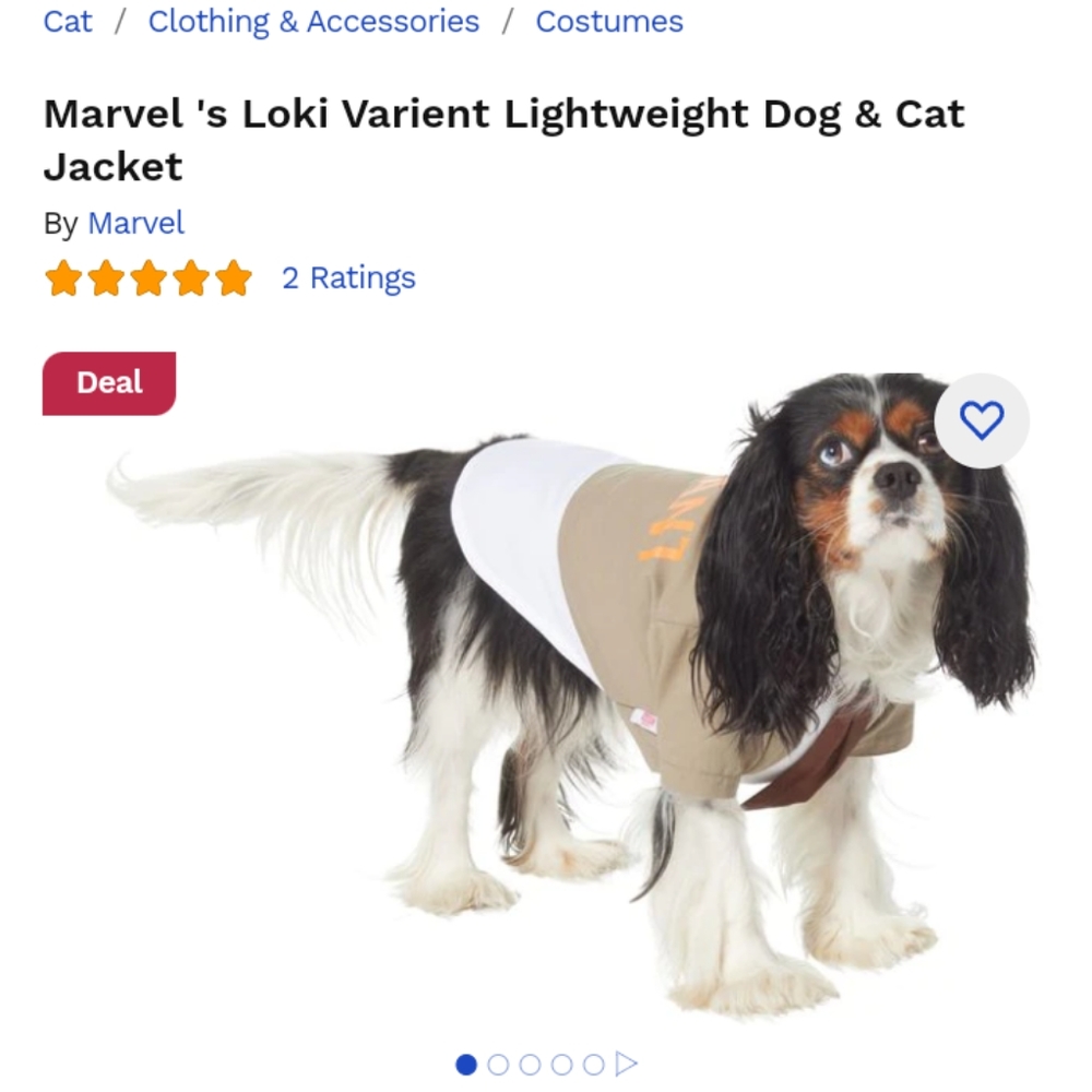 Loki Variant Dog Halloween costume